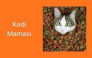 Kedi Mamaları