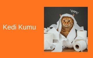 Kedi Kumu