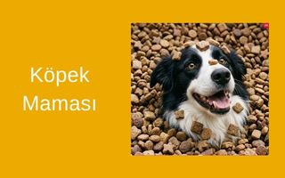 Köpek Maması
