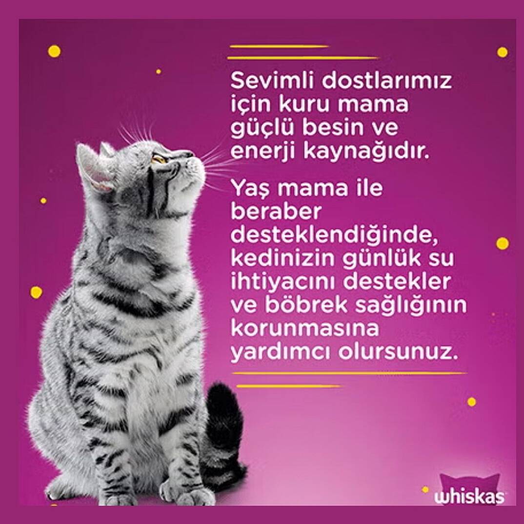 Whiskas Jöle içinde Ton Balıklı ve Somonlu Pouch Favori Balıklar 4x85 gr - 2