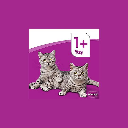 Whiskas Jöle içinde Ton Balıklı ve Somonlu Pouch Favori Balıklar 4x85 gr - 3